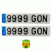 2 MATRÍCULAS COCHE LARGA ACRÍLICA 52X11  + LUZ EMERGENCIA V16